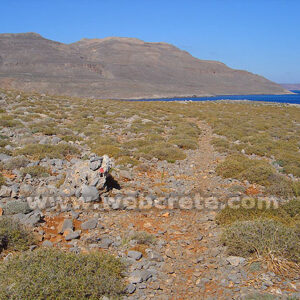 Hiking from Zakros to Xerokambos