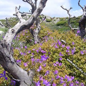 Hiking from Zakros to Ziros