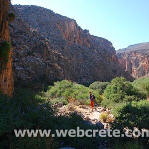 Kato Zakros gorge